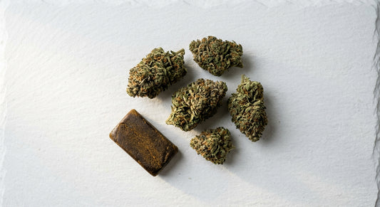CBD kaufen Leipzig — premium CBD flower and hash products flat lay 2026