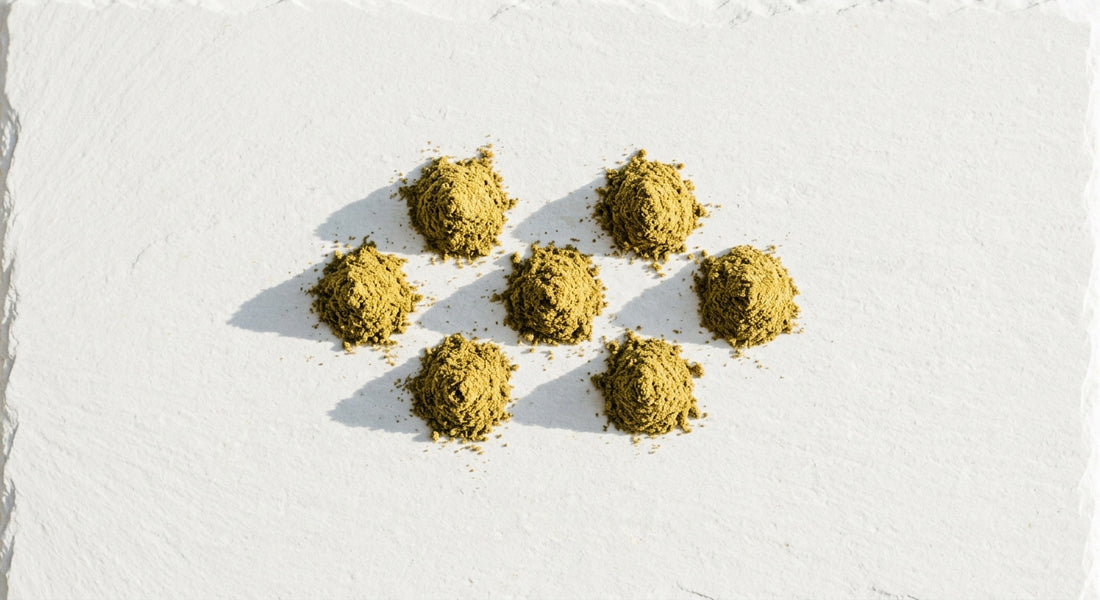 CBD kief velkoobchod zlatavý prášek trichomů na bílém povrchu Hurcann