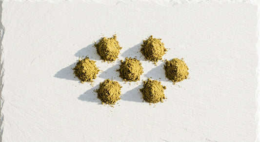 CBD kief velkoobchod zlatavý prášek trichomů na bílém povrchu Hurcann