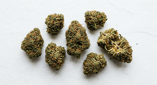 levné CBD květy kvalitní hemp flower buds zelené husté česky trh 2026