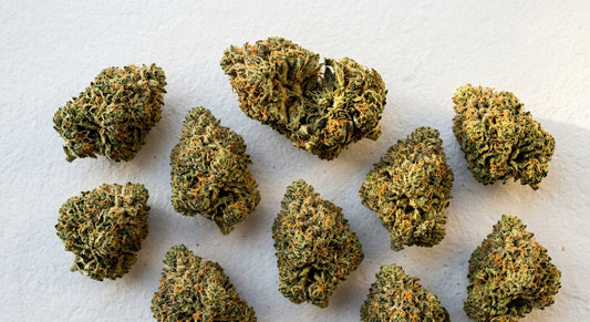 prémiové CBD květy konopí husté buds velkoobchod Hurcann 2026