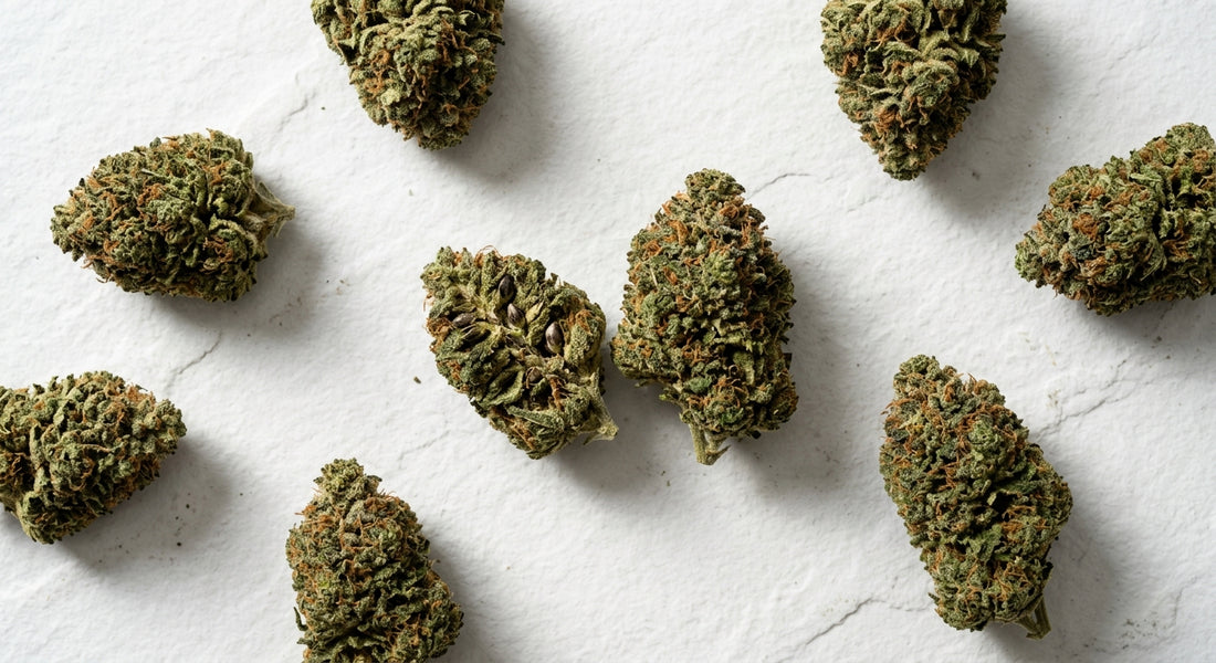 CBD květy účinky — prémiové konopné pupeny s bohatým terpénovým profilem Hurcann
