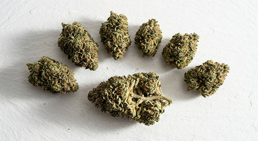 CBD Lieferant Deutschland 2026 premium CBD Blüten Großhandel auf weißem Hintergrund