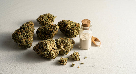 CBD Lieferant Österreich Großhandel CBD Blüten und Isolat auf weißer Oberfläche