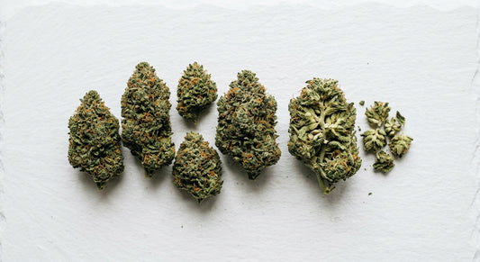 fleur CBD légale France Pays-Bas conformité réglementaire 2026 documentation douane