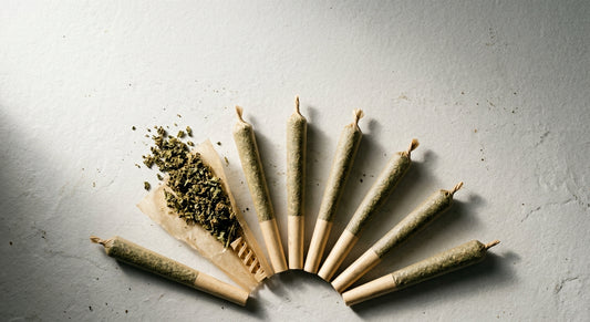 premium CBD pre-rolls fanned out on white surface showing hemp flower fill 2026