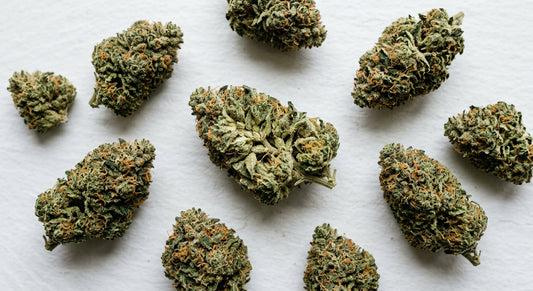 cbd premium fleur indoor dense trichomes qualité 2026 Hurcann