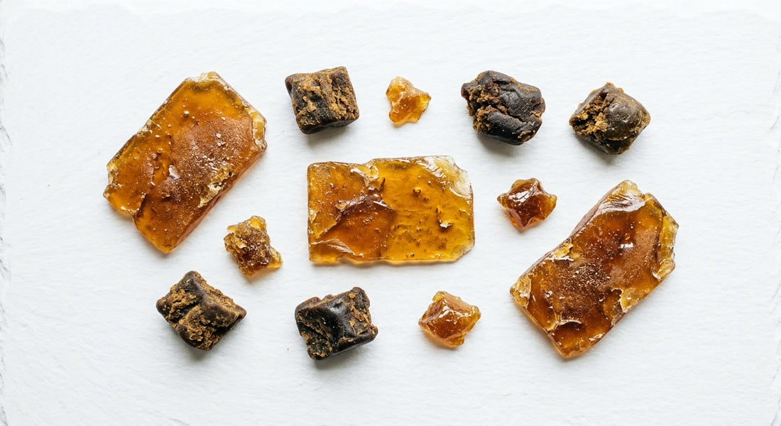 CBD pryskyřice velkoobchod různé typy extraktů na bílém povrchu