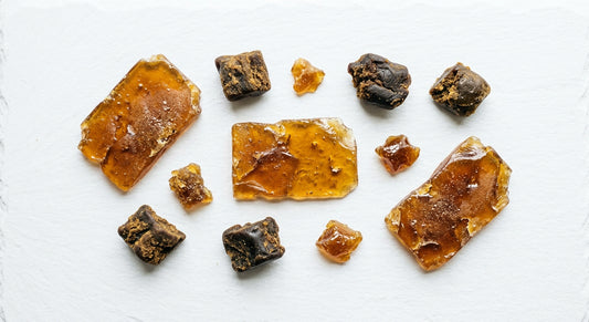 CBD pryskyřice velkoobchod různé typy extraktů na bílém povrchu