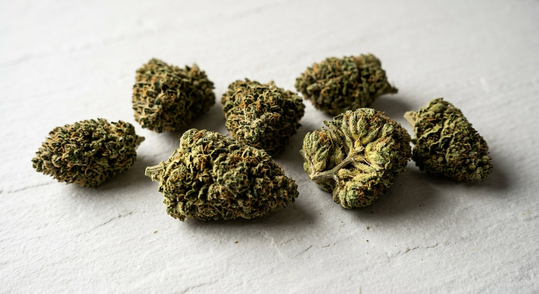 premium CBD hemp flower buds flat lay showing trichome quality Hurcann