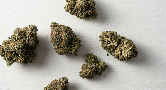 premium CBD hemp flower buds flat lay for Dresden buyers 2026 Hurcann