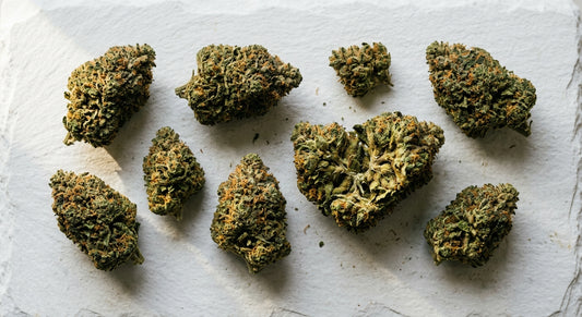 CBD velkoobchod česká republika prémiové CBD květy na bílém povrchu