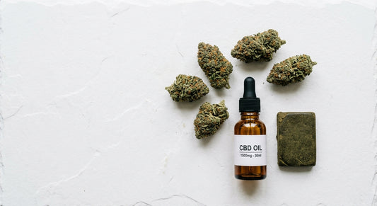 CBD výrobky povolené v ČR — květ olej a hash na bílém povrchu