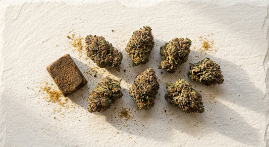 CBD wholesale Europe bulk hemp flower hash and kief products Hurcann 2026