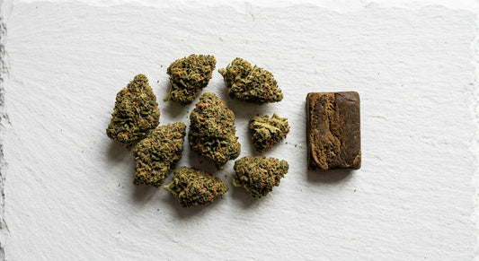 CBD wholesale France premium hemp flower buds and hash slab for bulk European buyers
