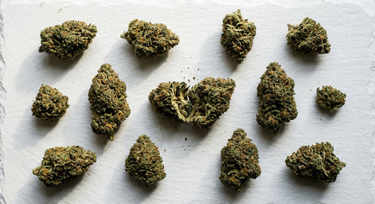 CBD with low THC hemp flower buds flat lay on white surface Hurcann