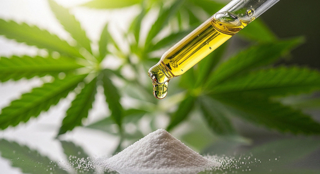 A dropper of golden CBD distillate oil dripping into a pool of clear CBD isolate powder, with a blurred background featuring green hemp leaves.