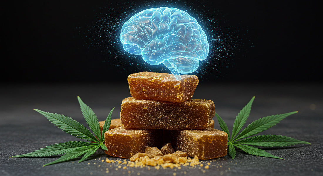 CBD hash glowing with hemp plants and brain hologram circling above.