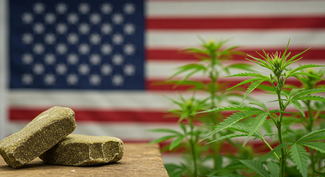 CBD hash with hemp and U.S. flag symbolizing trust and legality | Hurcann