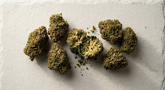 CBG Corpse Flower hemp buds flat lay dense earthy high-CBG strain