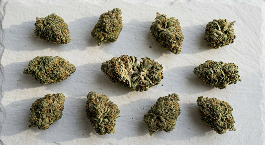 CBG hemp flower buds flat lay showing dense trichome-rich cultivar for focus and calm