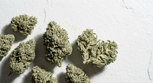 CBG hemp flower buds for sleep arranged flat lay on white surface Hurcann