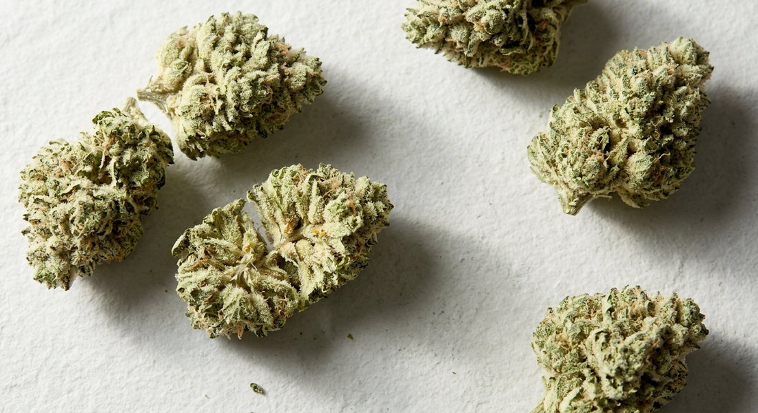 CBG hemp flower buds pale green white trichome-heavy flat lay 2026 guide