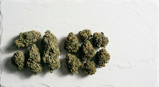CBG vs CBD hemp flower buds side by side comparison for anxiety relief 2026