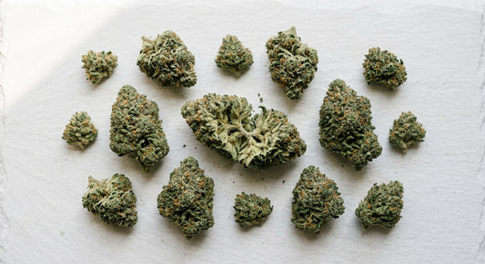 CBG vs CBN hemp cannabinoid comparison dense green CBG flower buds flat lay