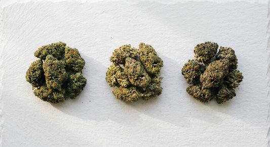 CBG vs CBN vs CBD hemp flower buds comparison flat lay Hurcann 2026