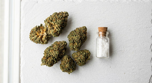 CBN hemp flower buds and CBN isolate vial flat lay on white surface 2026