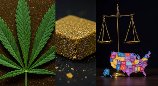 Collage of hemp leaf, THCA hash, justice scales, and patchwork U.S. map showing legality issues.