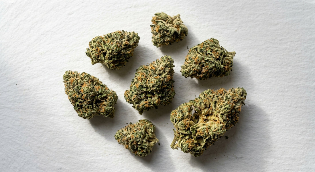 d9-thc vs thca comparison premium THCA hemp flower buds Hurcann