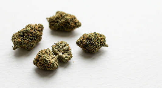 d9 THC vs THCA hemp flower buds showing trichome-rich structure Hurcann