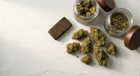 deli hemp CBD flower and hash arranged on white surface French retail format