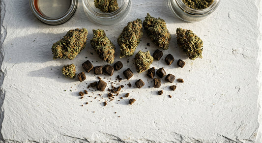 deli hemp Paris CBD flower and hash display boutique style Hurcann