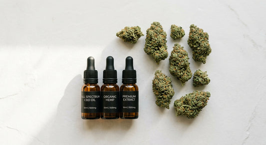 DHI CBD fournisseur fleurs chanvre industriel et extraits CBD wholesale qualité 2026