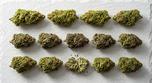 sativa indica hybrid THCA hemp flower buds comparison flat lay Hurcann 2026