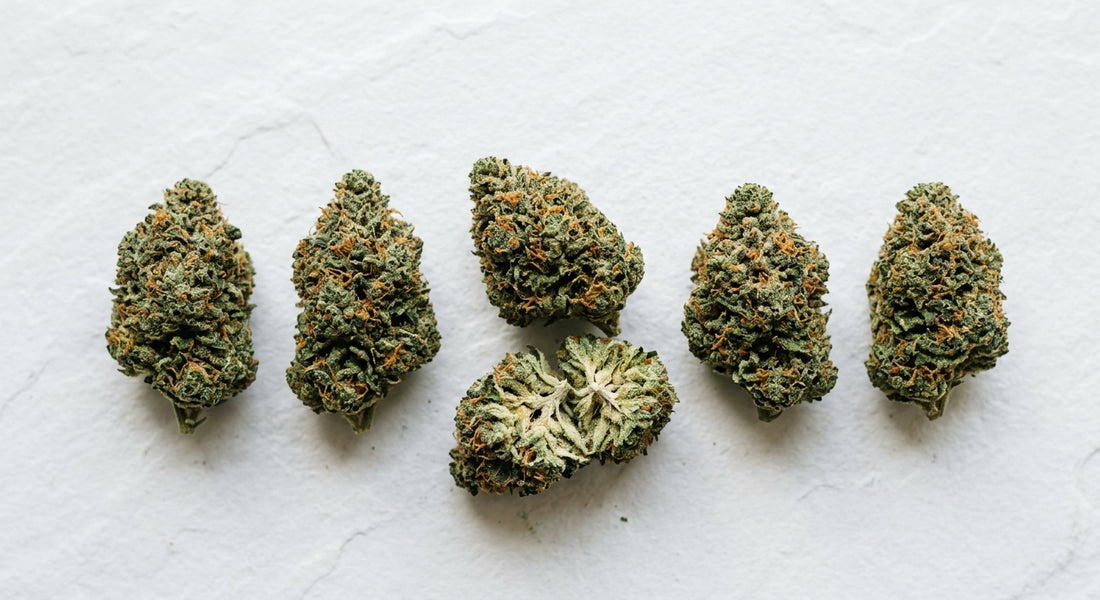 difference between CBD flower and marijuana premium hemp buds flat lay comparison 2026