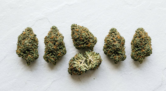 difference between CBD flower and marijuana premium hemp buds flat lay comparison 2026