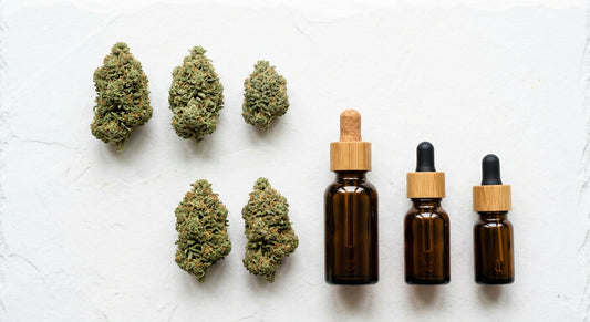 distribuidor cbd españa productos mayoristas flor cáñamo y aceite cbd sobre superficie blanca