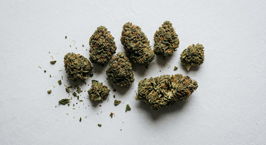 distributeur CBD Dole fleurs CBD grossiste Jura 2026 Hurcann