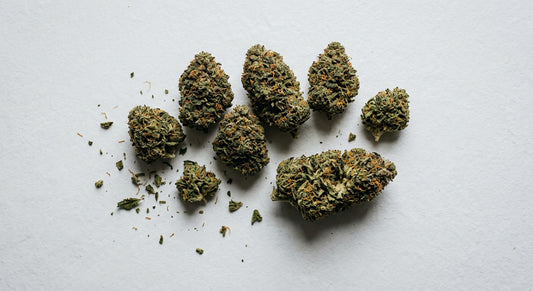 distributeur CBD Dole fleurs CBD grossiste Jura 2026 Hurcann