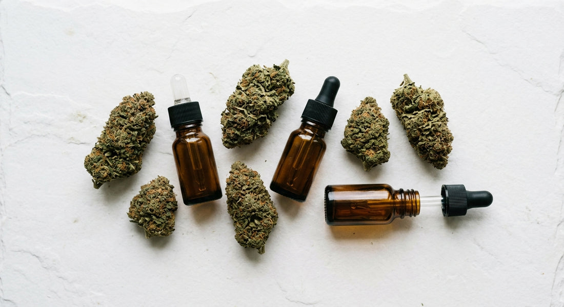 distributeur de CBD fleurs et huiles CBD premium présentation grossiste 2026