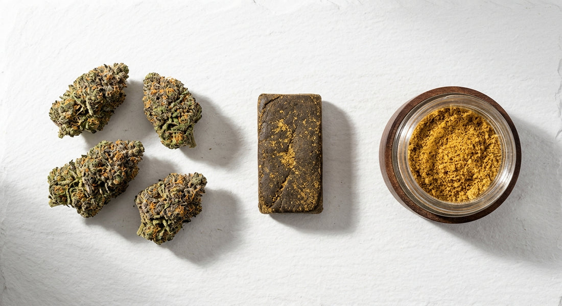 distributore CBD prodotti wholesale fiori hashish kief assortimento professionale