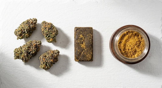 distributore CBD prodotti wholesale fiori hashish kief assortimento professionale