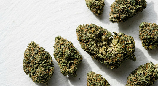 premium CBD hemp flower buds flat lay showing non-intoxicating hemp flower 2026