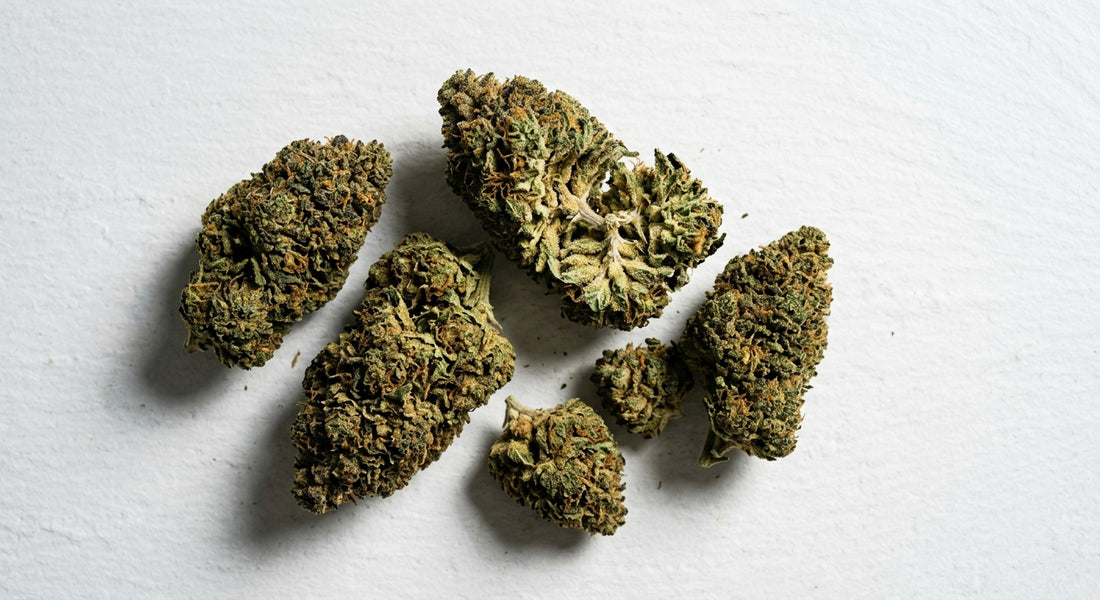 does CBD flower have THC dense hemp buds flat lay showing cannabinoid profile