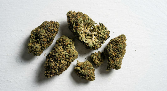 does CBD flower have THC dense hemp buds flat lay showing cannabinoid profile