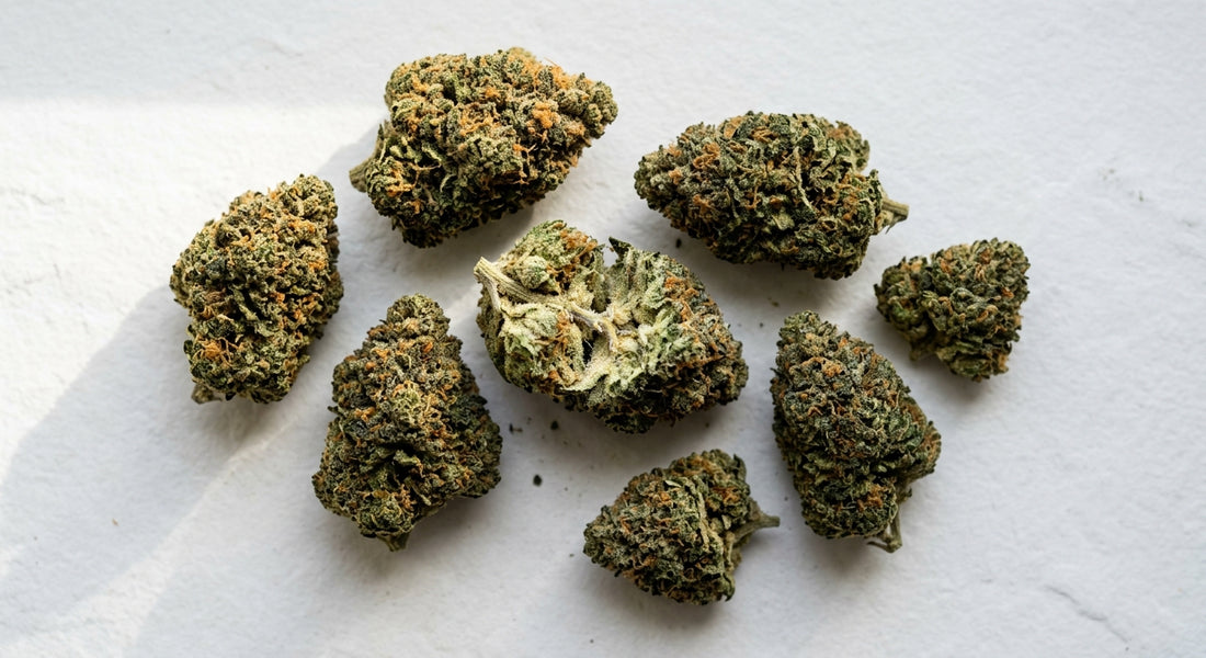 THCA hemp flower buds showing trichome coverage before decarboxylation to THC